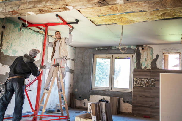 Best Insulation Installation Services in Buckhead, GA