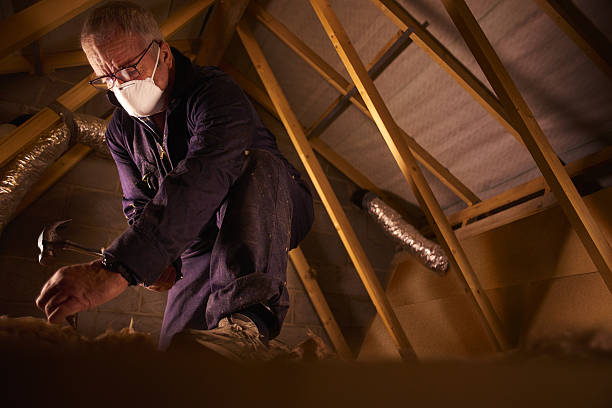 Best Commercial Insulation in Buckhead, GA